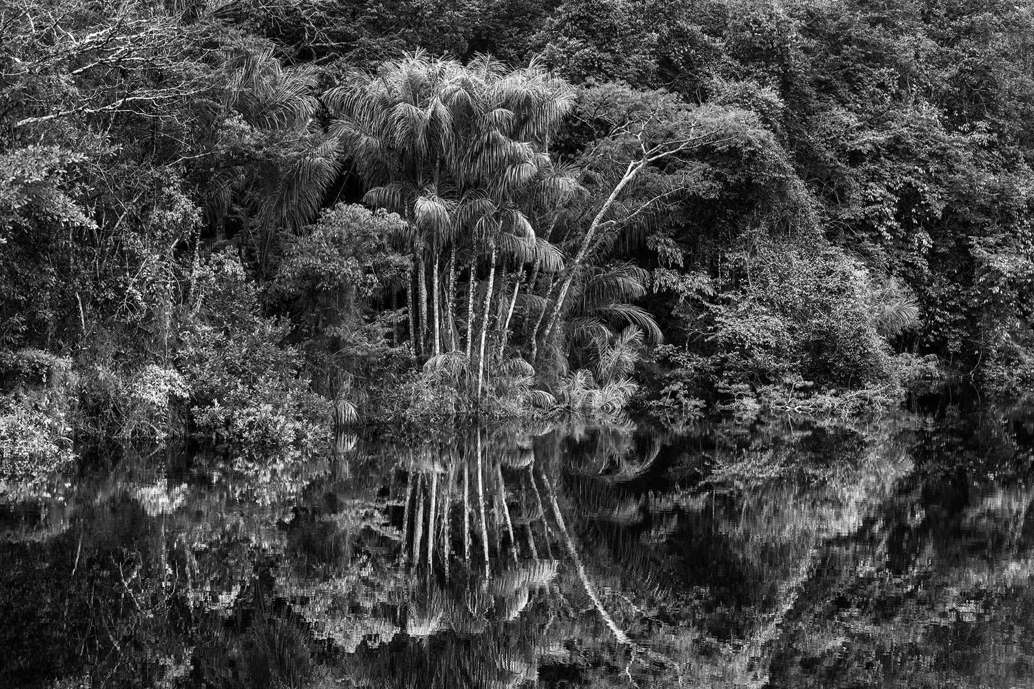 AmazÔnia SebastiÃo Salgado Galeria Mario Cohen 8769