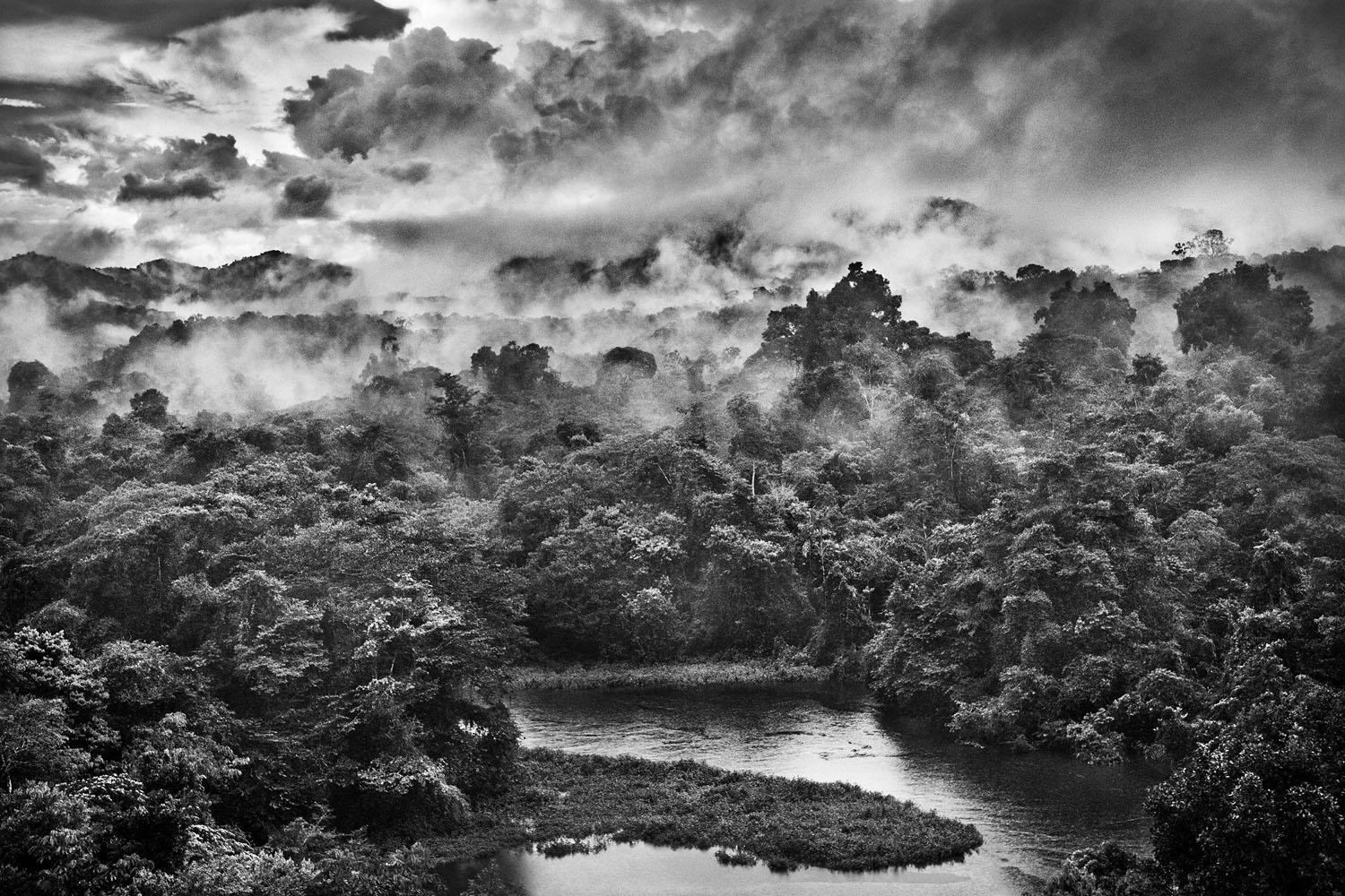 Sebastião Salgado Fotografias Na Amazônia Galeria Mario Cohen 1543